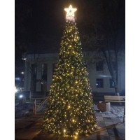 Елка 10 метров | Archa 10 metr