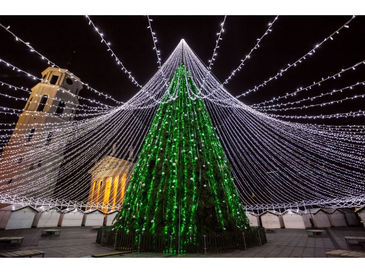 Большие уличные елки в Ташкенте — Elki.uz