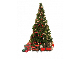 Высотные уличные елки