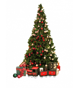 Высотные елки в Ташкенте