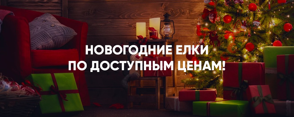 Новогодние елки в ташкенте